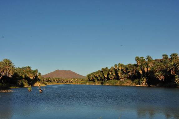 O oásis na região de San Ignacio, na Baja California - México